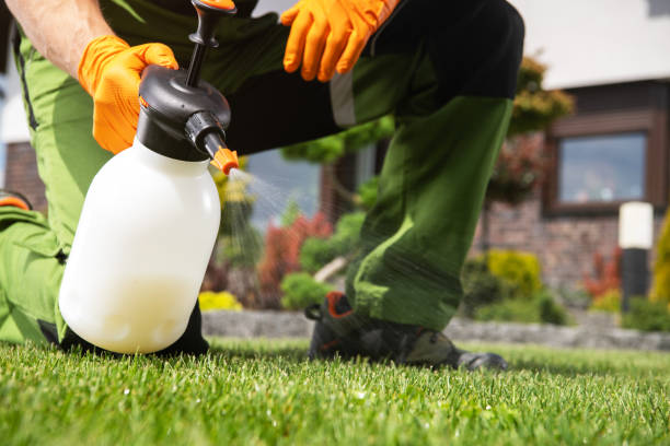 Seasonal Pest Control in Coaldale, PA